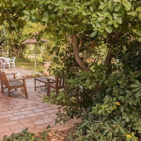 Spacious In With Swimming Pool *